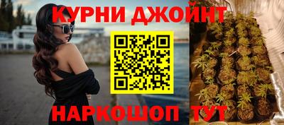 гидропоника Гусь-Хрустальный
