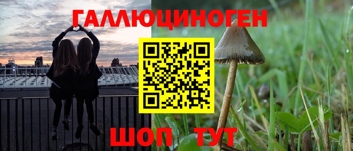 Сорочинск  Галлюциногенные грибы Psilocybine cubensis  Вход с VPN  Галлюциногенные грибы мицелий 